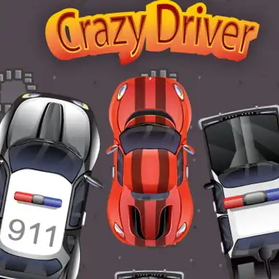 Crazy Driver Police Chase